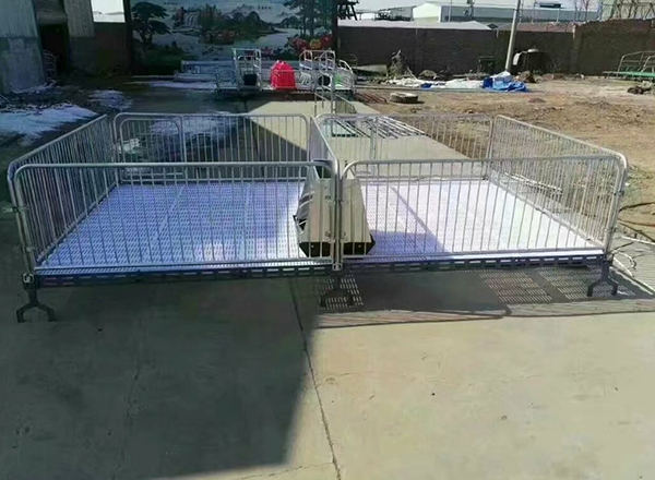 仔豬保育床