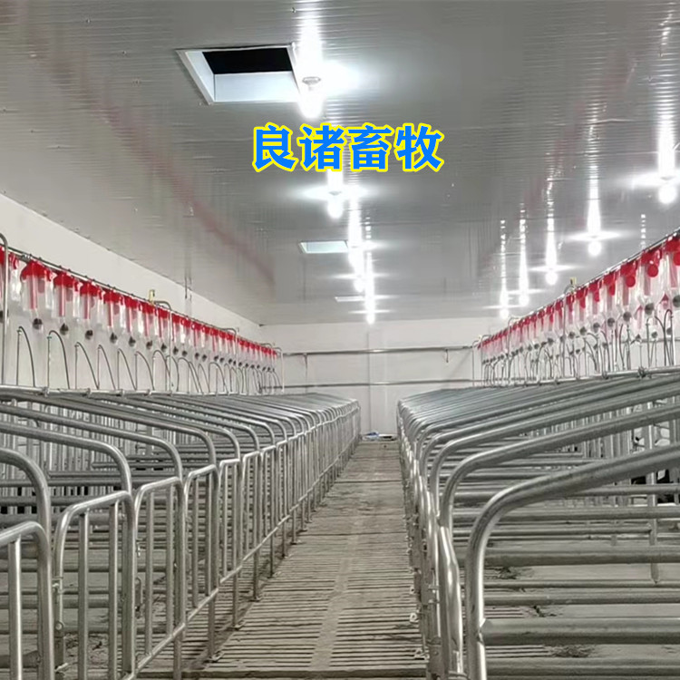 豬用自動喂料線